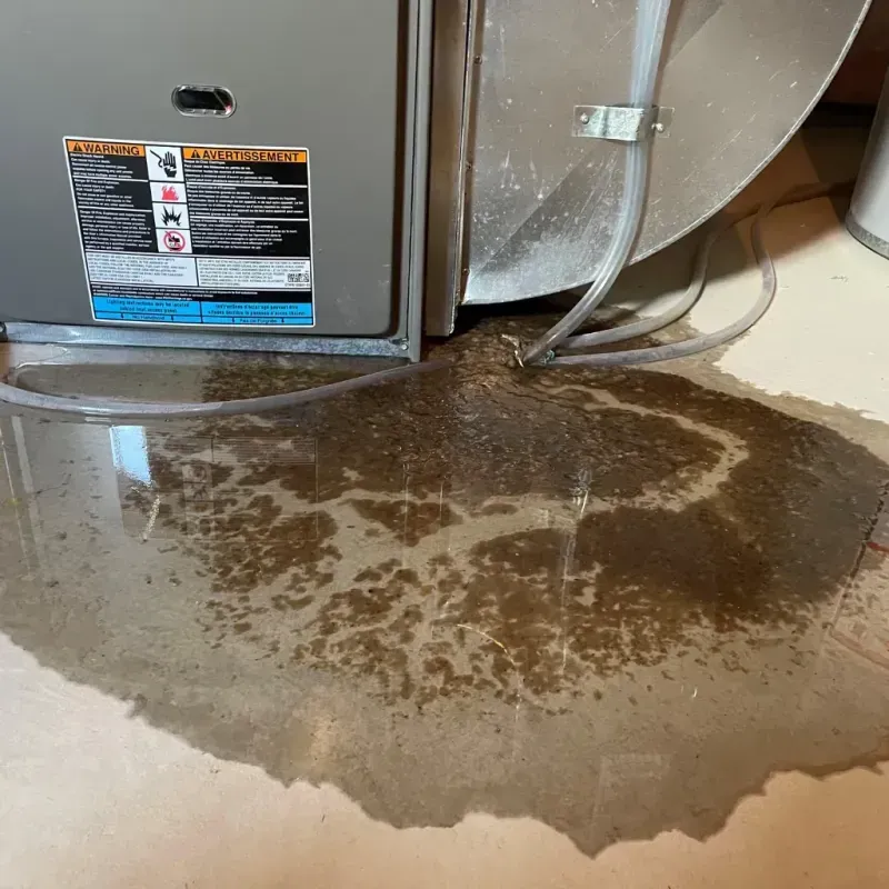 Appliance Leak Cleanup in Danbury, NC